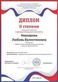 Диплом II степени во II  Международном конкурсе "Гордость России"